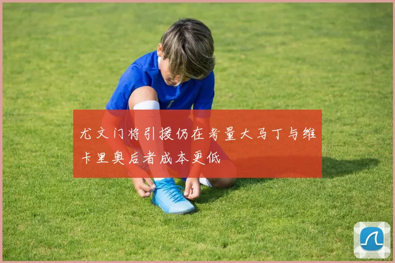 尤文门将引援仍在考量大马丁与维卡里奥后者成本更低