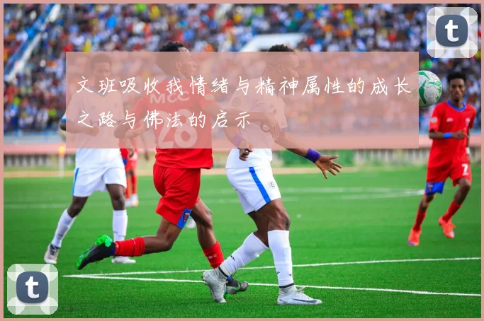 文班吸收我情绪与精神属性的成长之路与佛法的启示